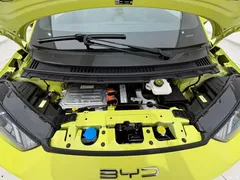 2024 BYD Seagull Glory 305km freedom — фото 18