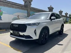2021 Haval H6 2.0T AT 2WD Max, белый — фото 1