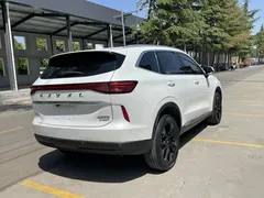2021 Haval H6 2.0T AT 2WD Max, белый — фото 3