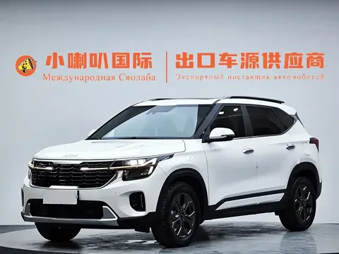 2023 Kia Seltos 1.5L CVT Luxury