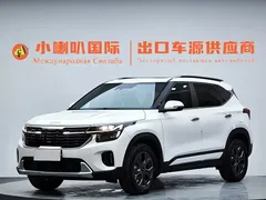 2023 Kia Seltos 1.5L CVT Luxury, белый — фото 1