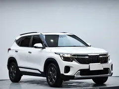 2023 Kia Seltos 1.5L CVT Luxury, белый — фото 4
