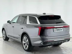 2021 Hongqi E-HS9 460km — фото 11