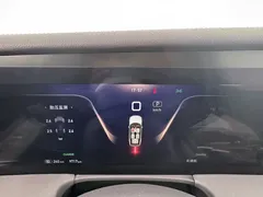 2021 Hongqi E-HS9 460km — фото 12