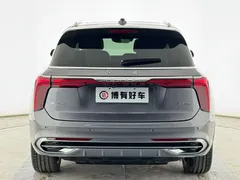 2021 Hongqi E-HS9 460km — фото 14
