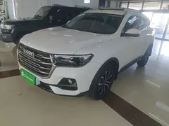 2021 Haval H6 1.5T AT Guochao Urban, белый — фото 1