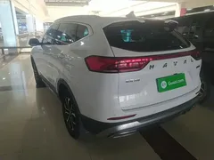 2021 Haval H6 1.5T AT Guochao Urban, белый — фото 5