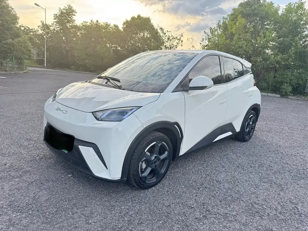 2023 BYD Seagull Freedom