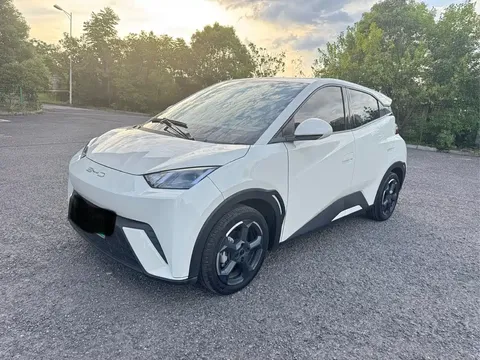 2023 BYD Seagull Freedom