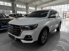 2021 Haval H6 1.5T AT Champion, белый — фото 1
