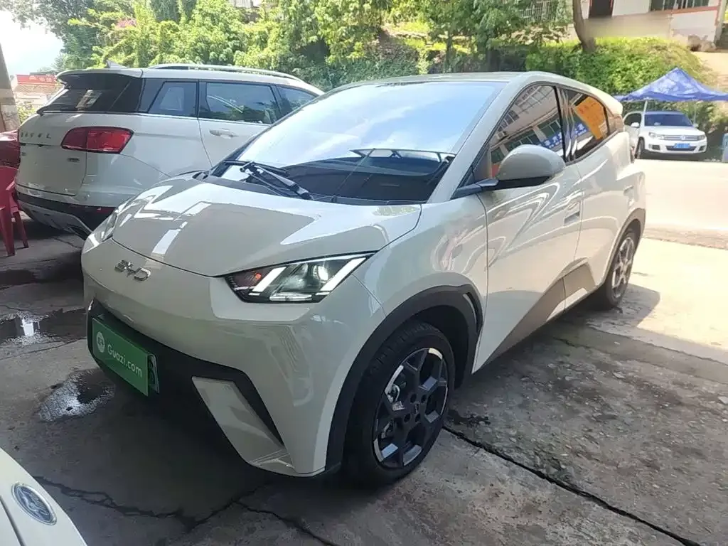 2024 BYD Seagull EV 305km Honor Freedom