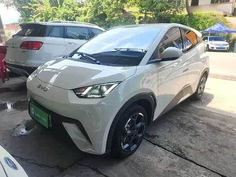 2024 BYD Seagull EV 305km Honor Freedom