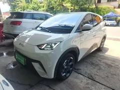 2024 BYD Seagull EV 305km Honor Freedom, белый — фото 1