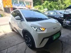 2024 BYD Seagull EV 305km Honor Freedom, белый — фото 22