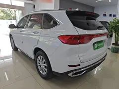 2021 Haval M6 PLUS 1.5T DCT, белый — фото 5