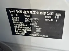 2025 BYD Yuan UP Smart Driving 401km Vitality — фото 20