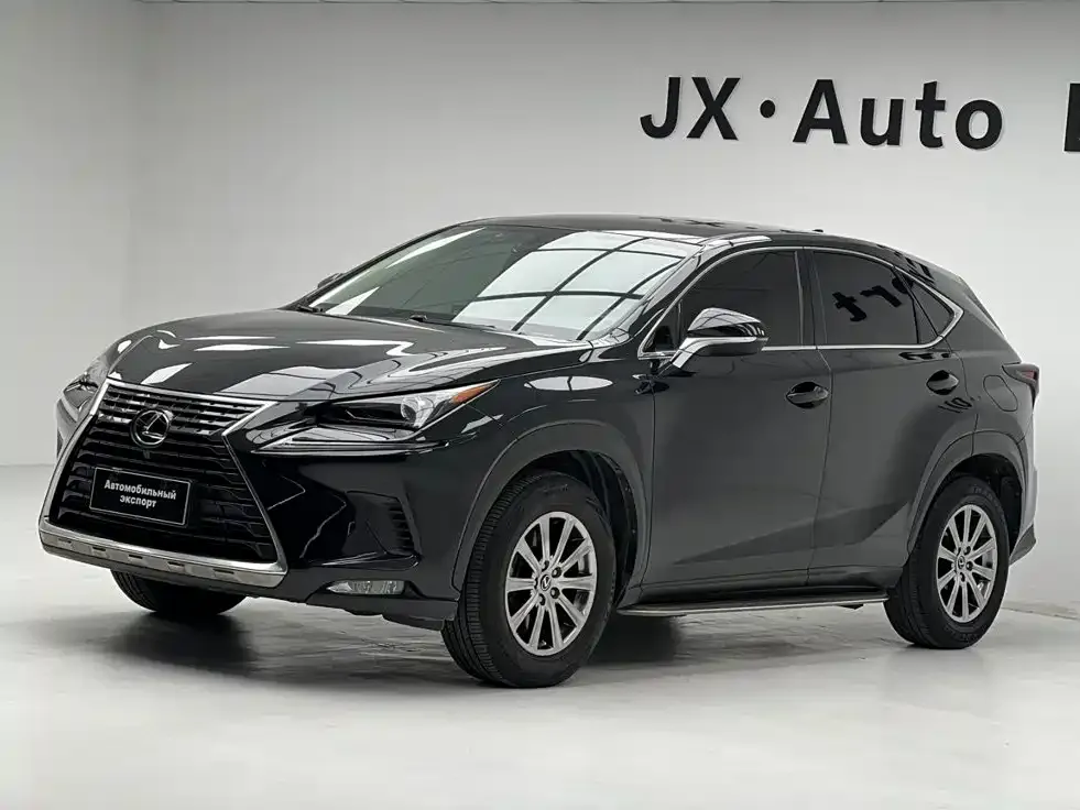2020 Lexus NX 200 V