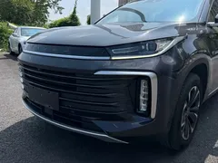 2021 Exeed TXL 290T 2WD Xingyao — фото 30