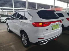 2023 Haval M6 Plus 1.5T DCT Elite, белый — фото 5