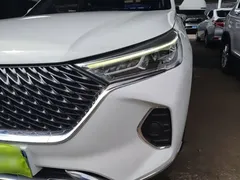 2023 Haval M6 Plus 1.5T DCT Elite, белый — фото 24