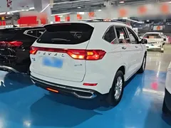 2021 Haval M6 Plus 1.5T DCT Elite, белый — фото 7