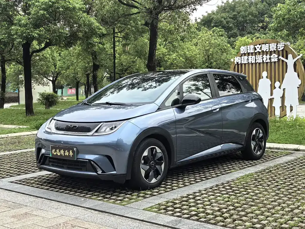 2024 BYD Dolphin Honor 420km Fashion