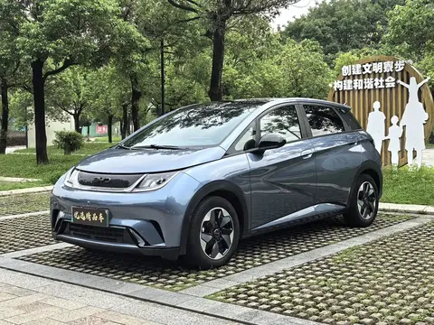 2024 BYD Dolphin Honor 420km Fashion