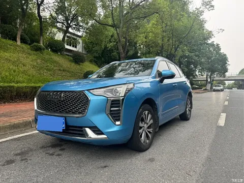 2021 Haval Harvard First Love 1.5T AT Senior