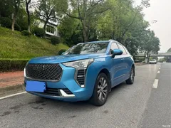 2021 Haval Harvard First Love 1.5T AT Senior, синий — фото 1