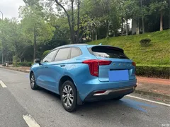 2021 Haval Harvard First Love 1.5T AT Senior, синий — фото 9