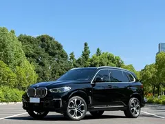 2022 BMW X5 40Li Premium M Sport Package, чёрный — фото 1