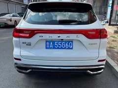2021 Haval M6 Plus 1.5T DCT Comfort, белый — фото 16
