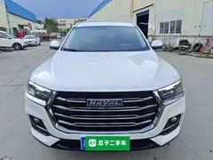 2023 Haval H6 1.5T AT Guochao Urban, белый — фото 3