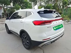 2023 Haval H6 1.5T AT Guochao Urban, белый — фото 5