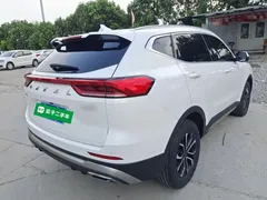 2023 Haval H6 1.5T AT Guochao Urban, белый — фото 7