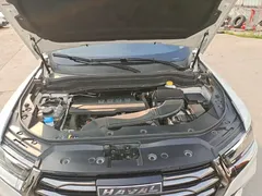 2023 Haval H6 1.5T AT Guochao Urban, белый — фото 20