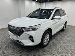 2021 Haval M6 PLUS 1.5T MT Luxury, белый — фото 3