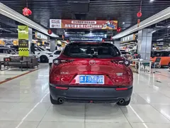 2020 Mazda CX-30 2.0L AT Jiayue — фото 8
