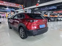2020 Mazda CX-30 2.0L AT Jiayue — фото 9