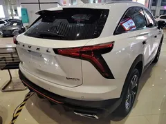 2022 Haval Shenshou 1.5T, белый — фото 7