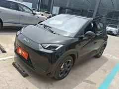 2025 BYD Seagull Smart Driving 305km Freedom, чёрный — фото 1