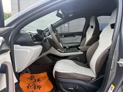2023 BYD Qin PLUS Champion EV 510km — фото 4