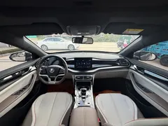 2023 BYD Qin PLUS Champion EV 510km — фото 6