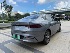 2023 BYD Qin PLUS Champion EV 510km — фото 13