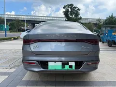 2023 BYD Qin PLUS Champion EV 510km — фото 14
