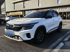 2023 Kia Seltos 1.5L CVT Luxury, белый — фото 1