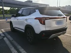 2023 Kia Seltos 1.5L CVT Luxury, белый — фото 13
