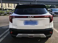 2023 Kia Seltos 1.5L CVT Luxury, белый — фото 14