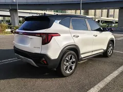 2023 Kia Seltos 1.5L CVT Luxury, белый — фото 15