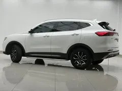 2021 Haval H6 1.5T AT, белый — фото 35